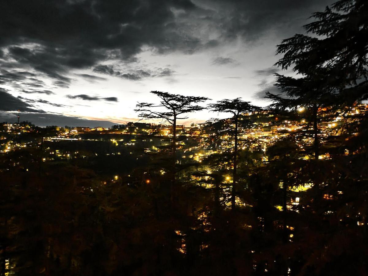 Magic Stays - Shimla Royale - Free Pickup From Railway Station Shimla Extérieur photo